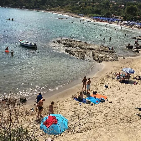 Rent 2 Weeks In Tourist-hotel Timeshare In Turis Village Holiday home